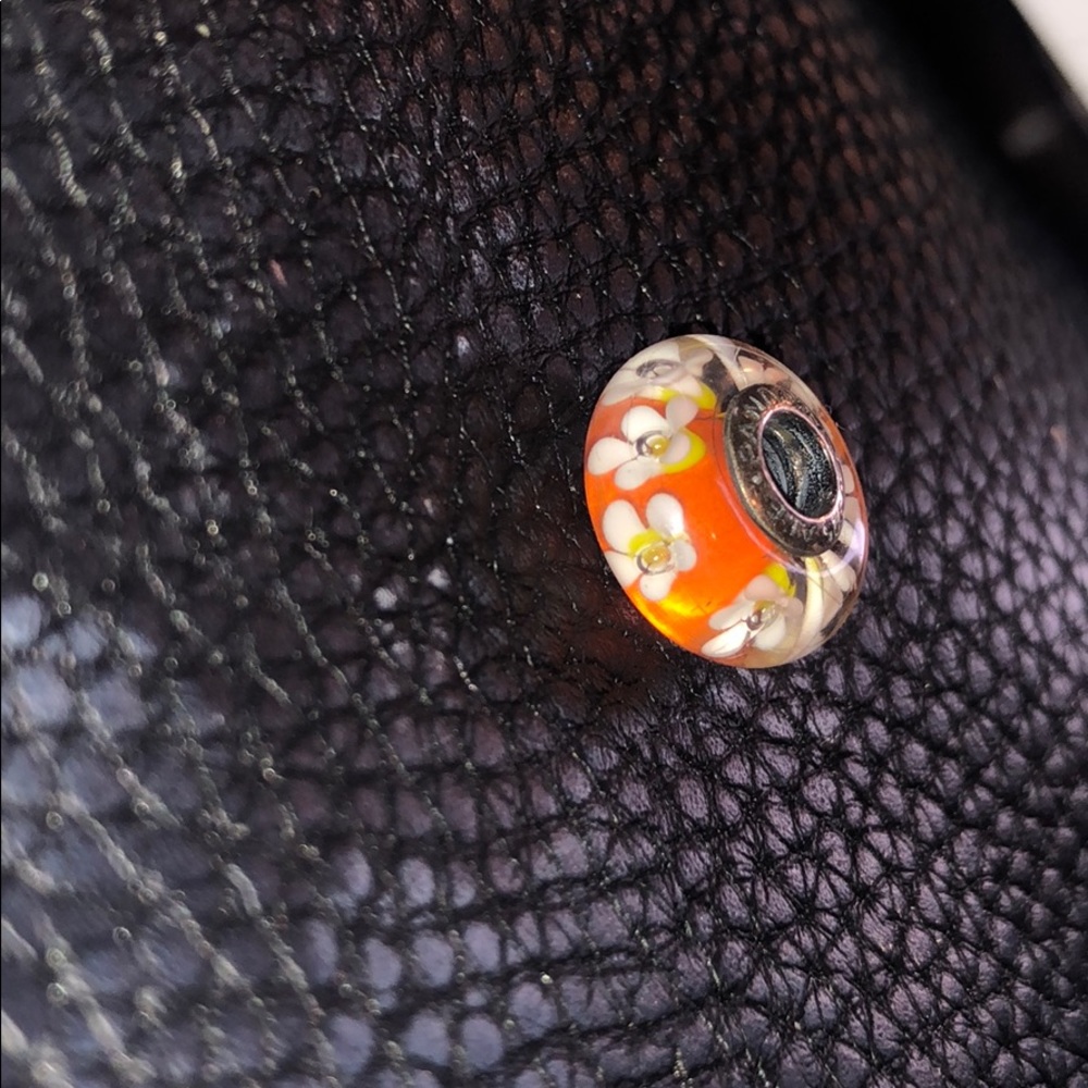 Pandora charm
